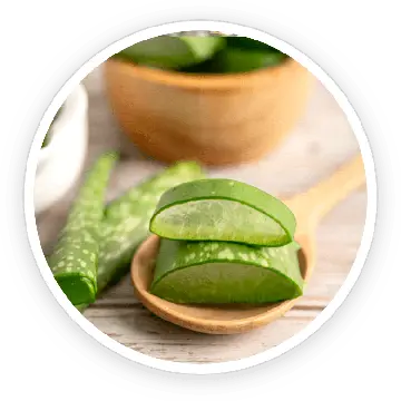 Aloe vera ingredient