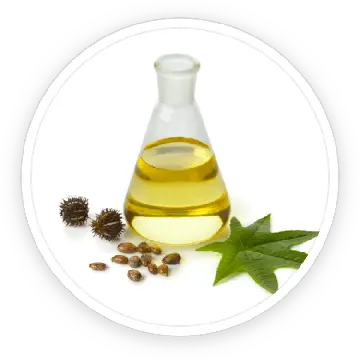 Undecylenic acid ingredient